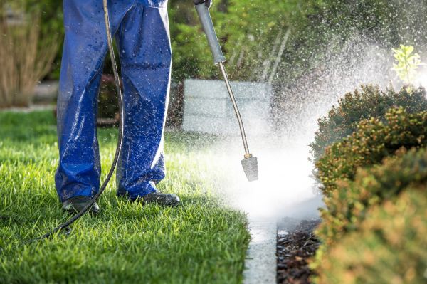 Curb Cleaning in Winter Haven